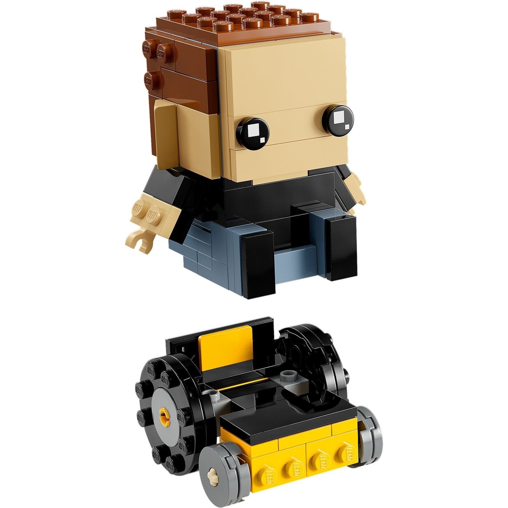 LEGO Jake Sully en zijn Avatar - 40554