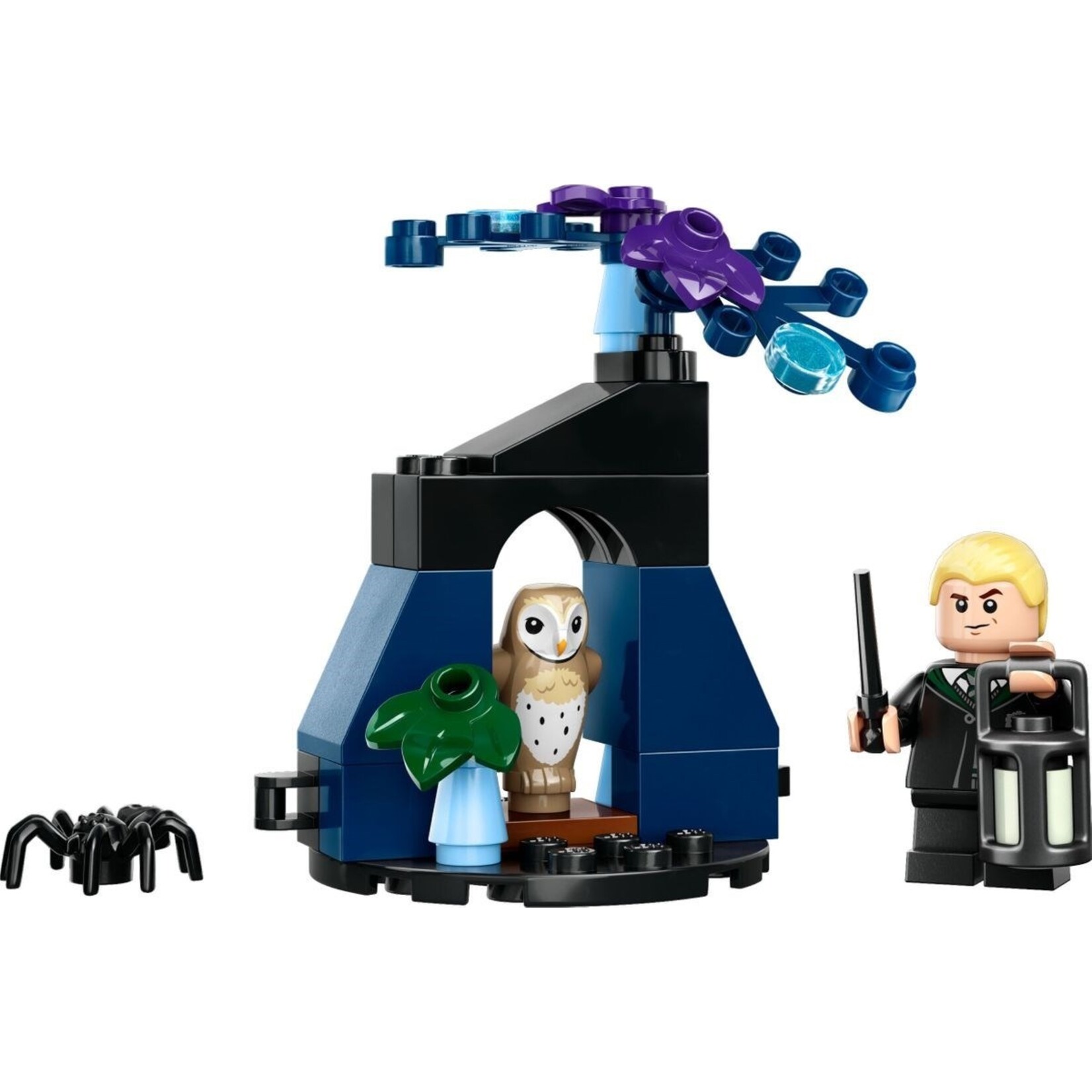 LEGO Draco in het verboden bos - 30677