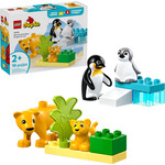 LEGO Families van wilde dieren: pinguïns en leeuwen -10442