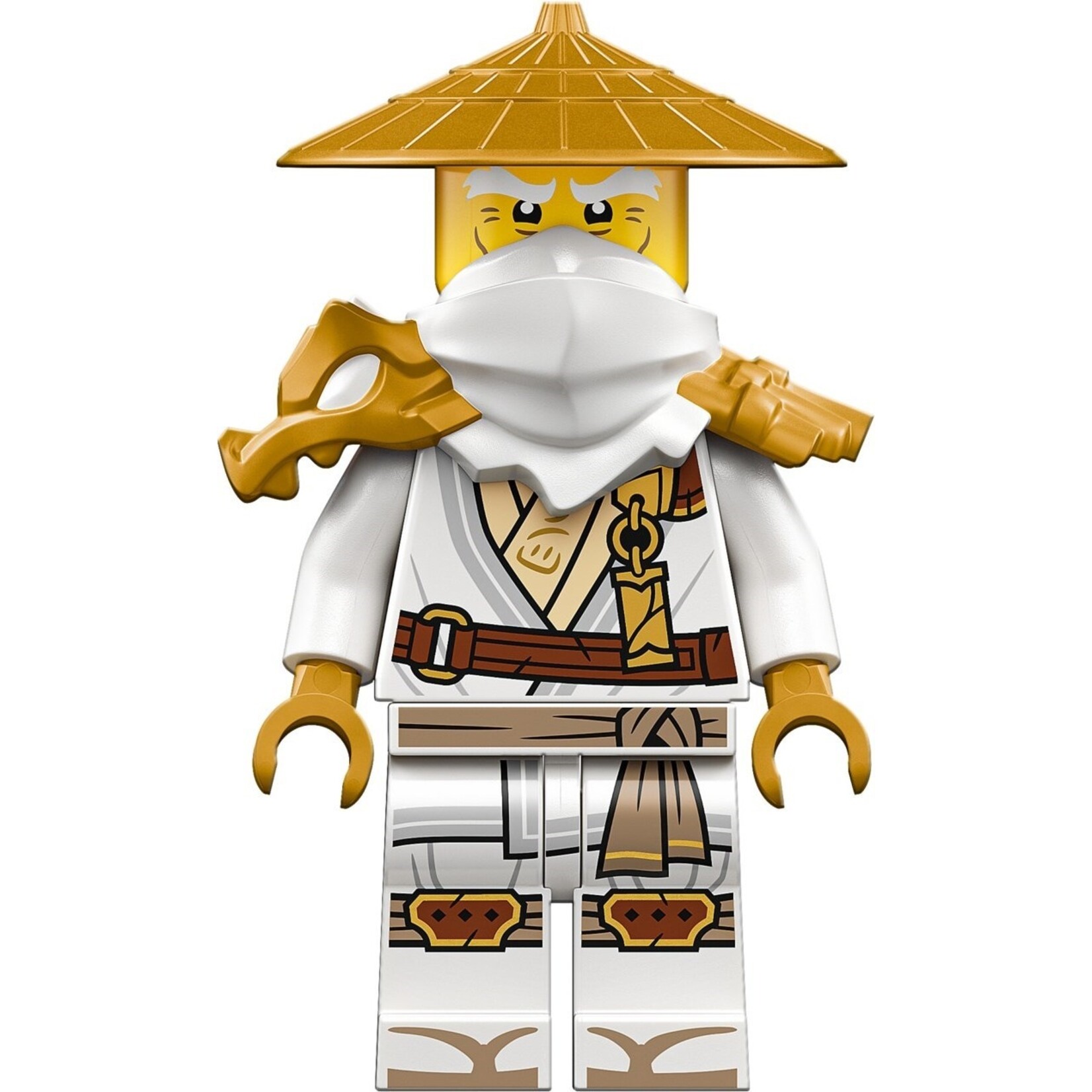LEGO De drakenbewaker - 71847