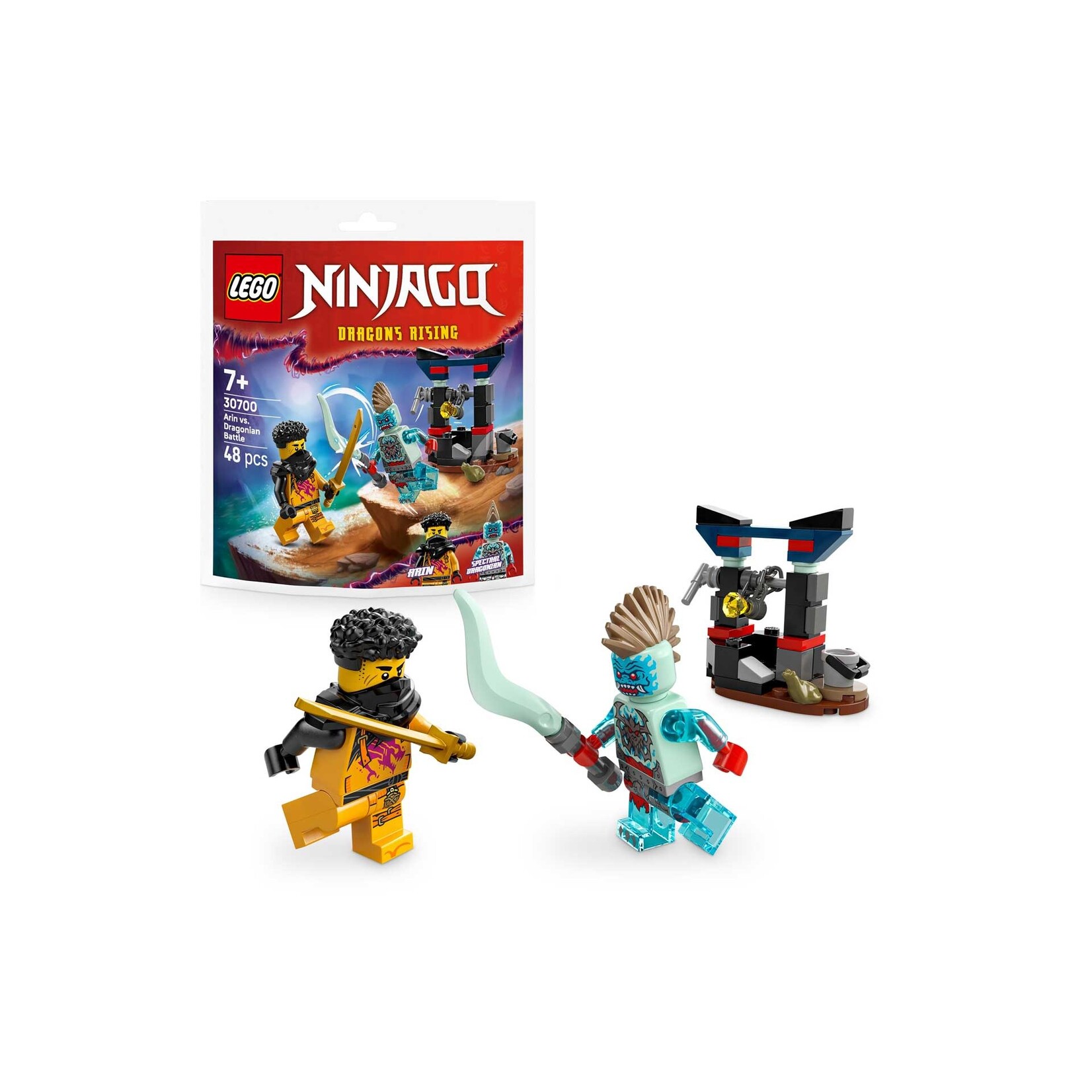 LEGO Arin vs. Dragonian Strijd - 30700