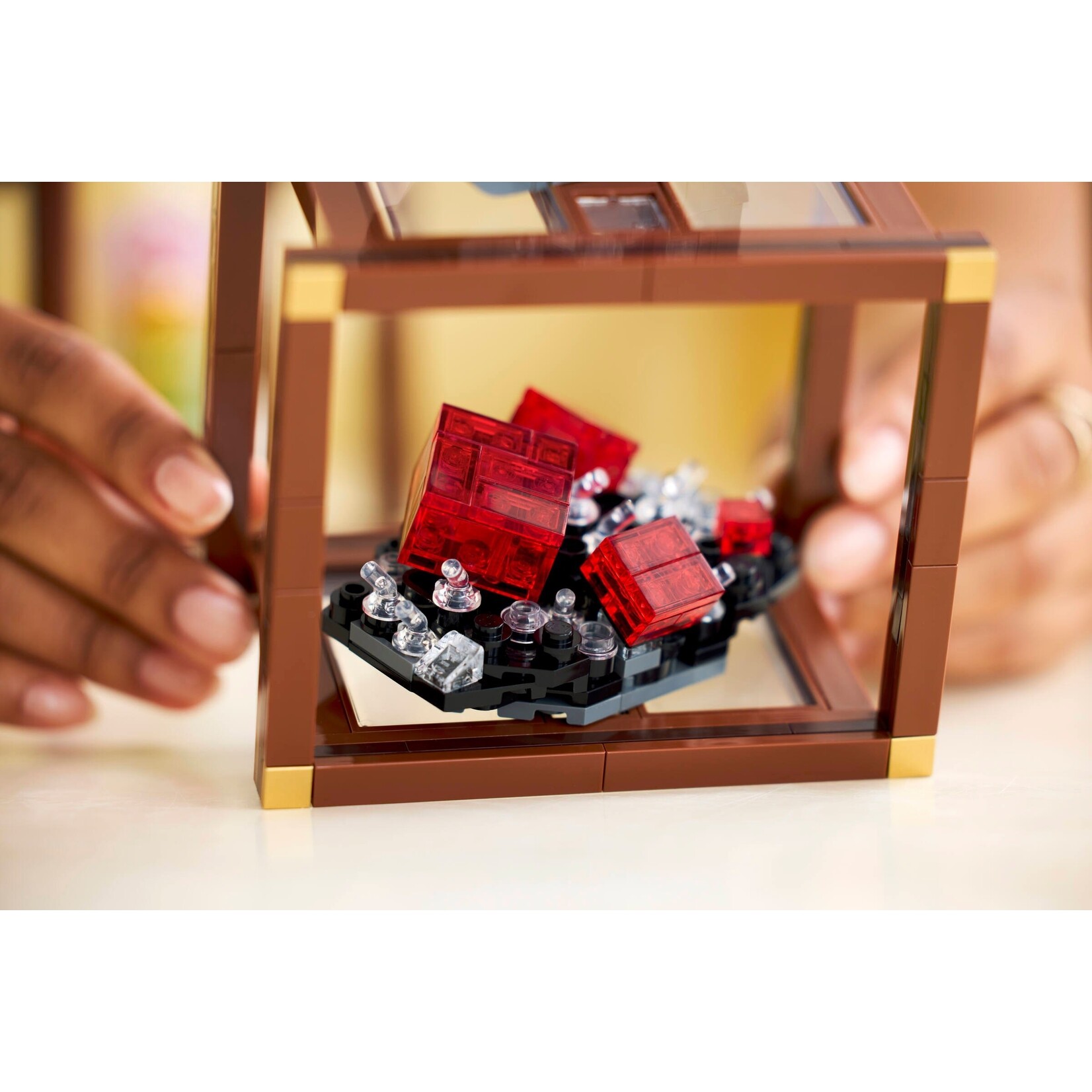 LEGO Mineralenverzameling - 21362