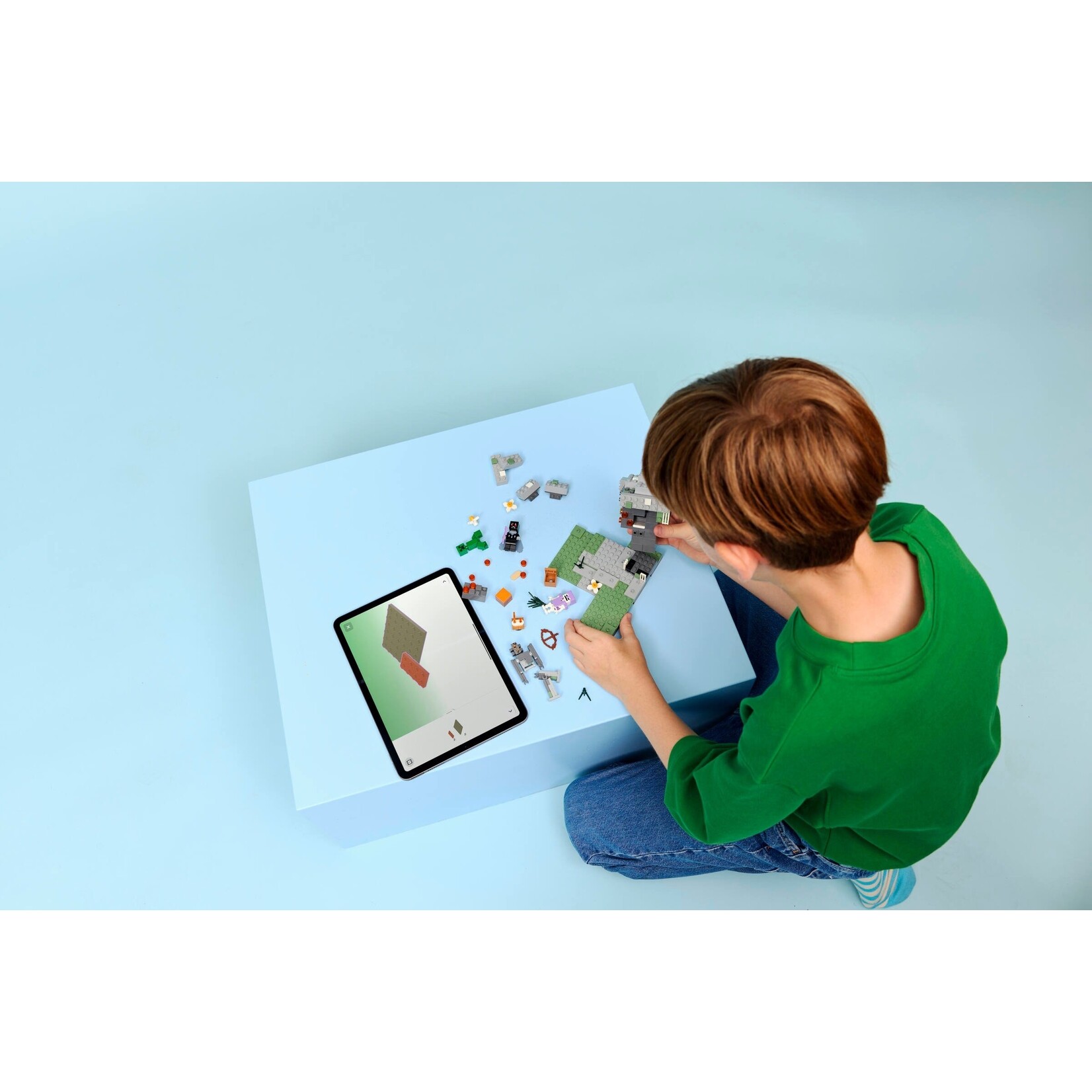 LEGO De bleke tuin - 21586