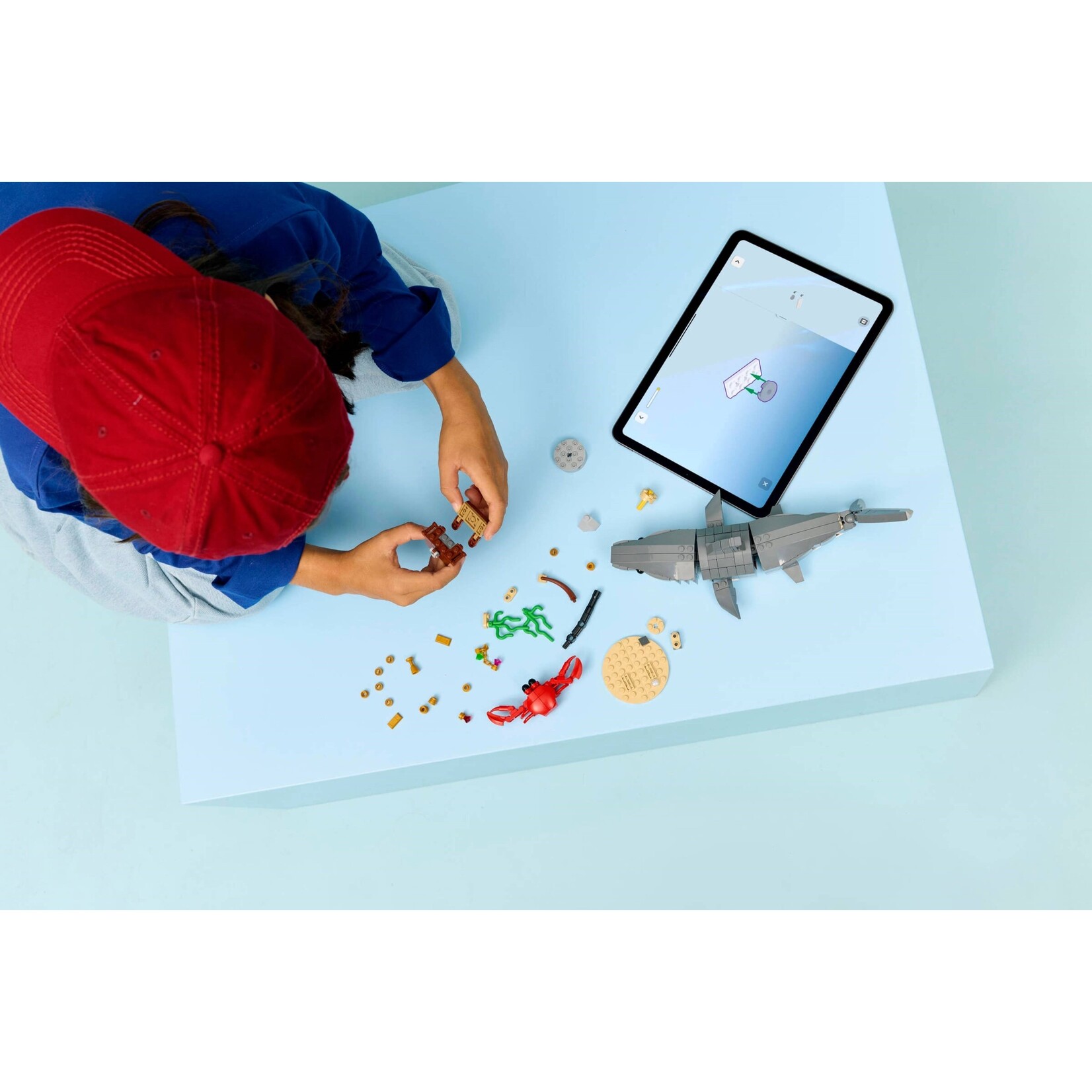 LEGO Woeste haai met schatkist - 31381