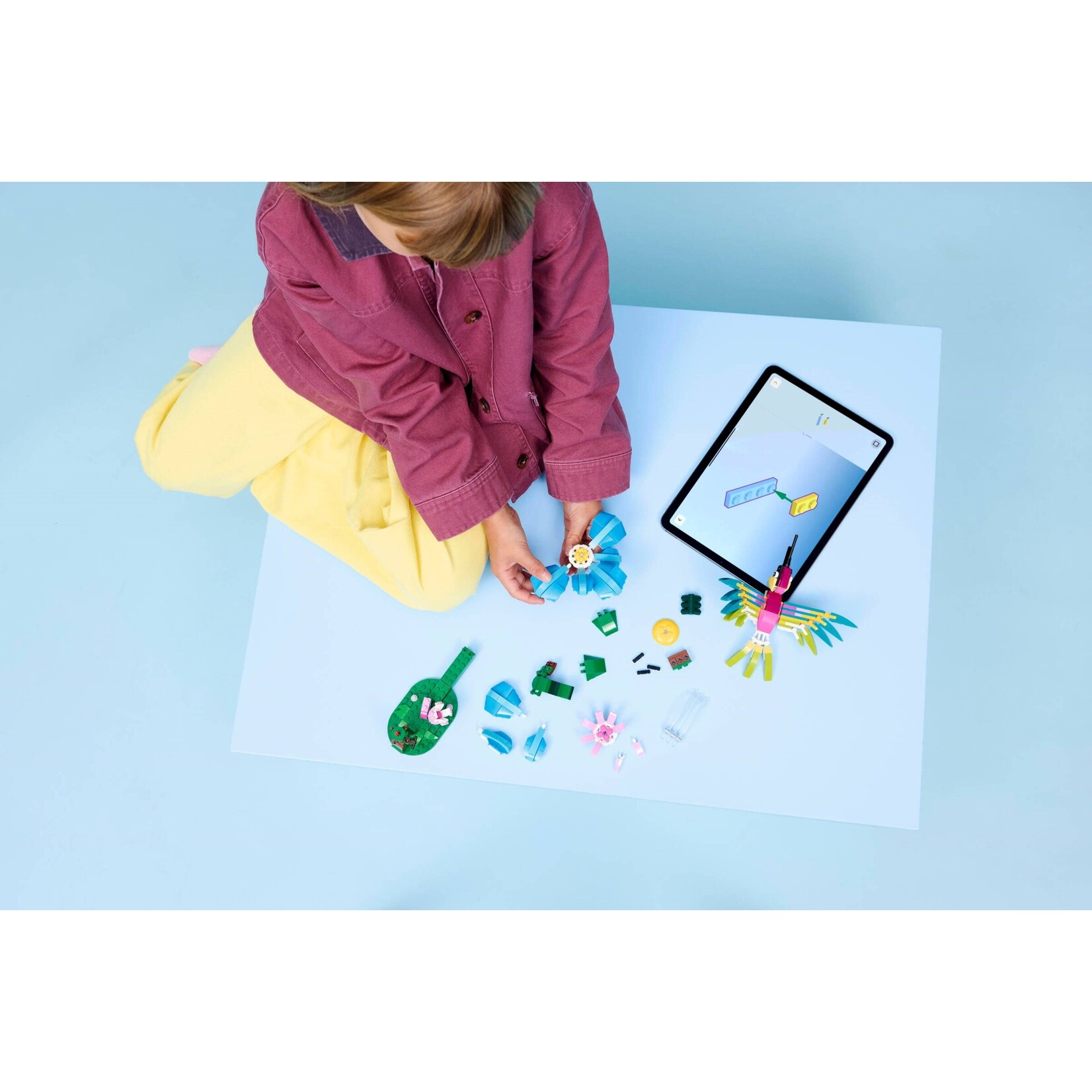 LEGO Wilde dieren: kleurrijke kolibrie - 31384