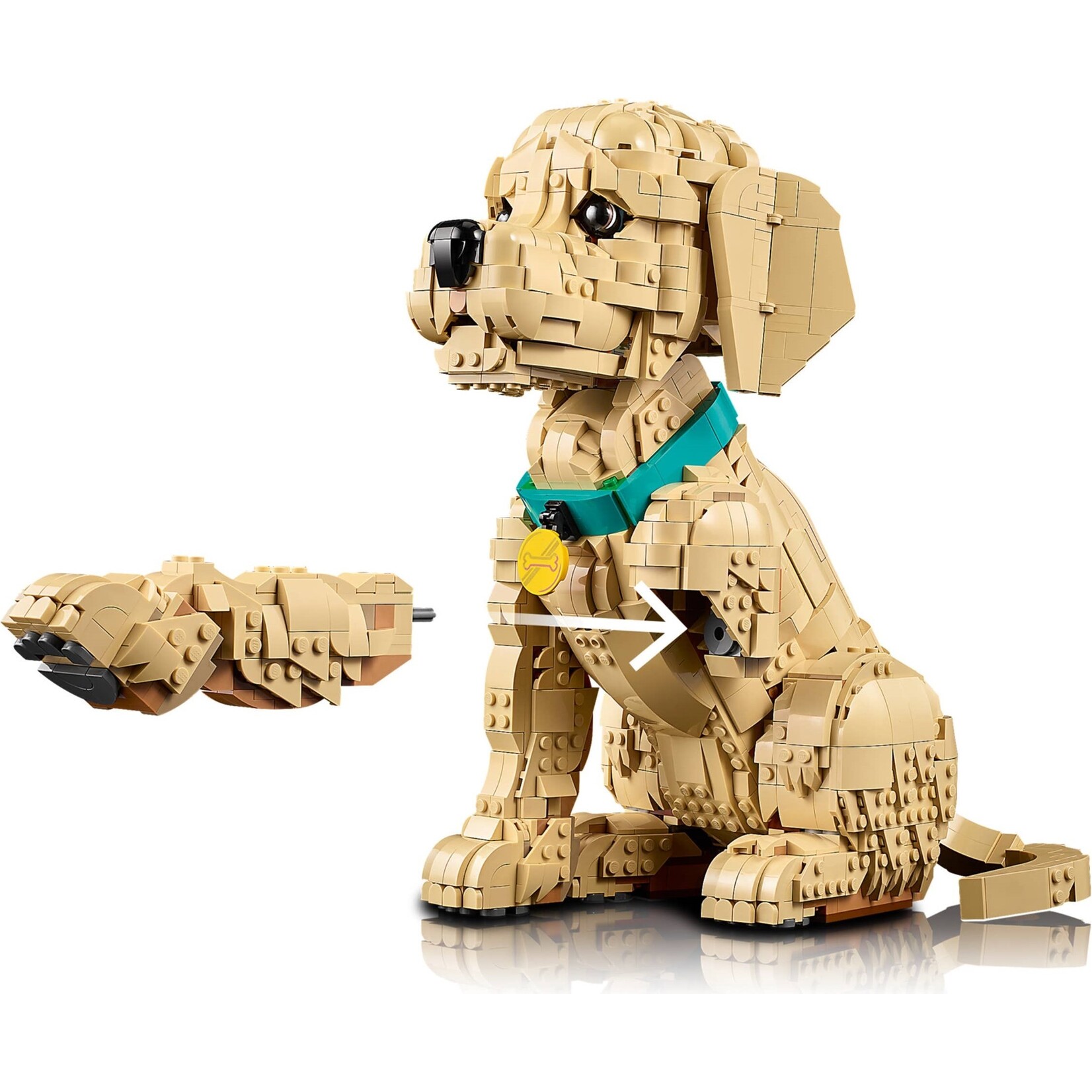 LEGO Golden retriever puppy - 11384