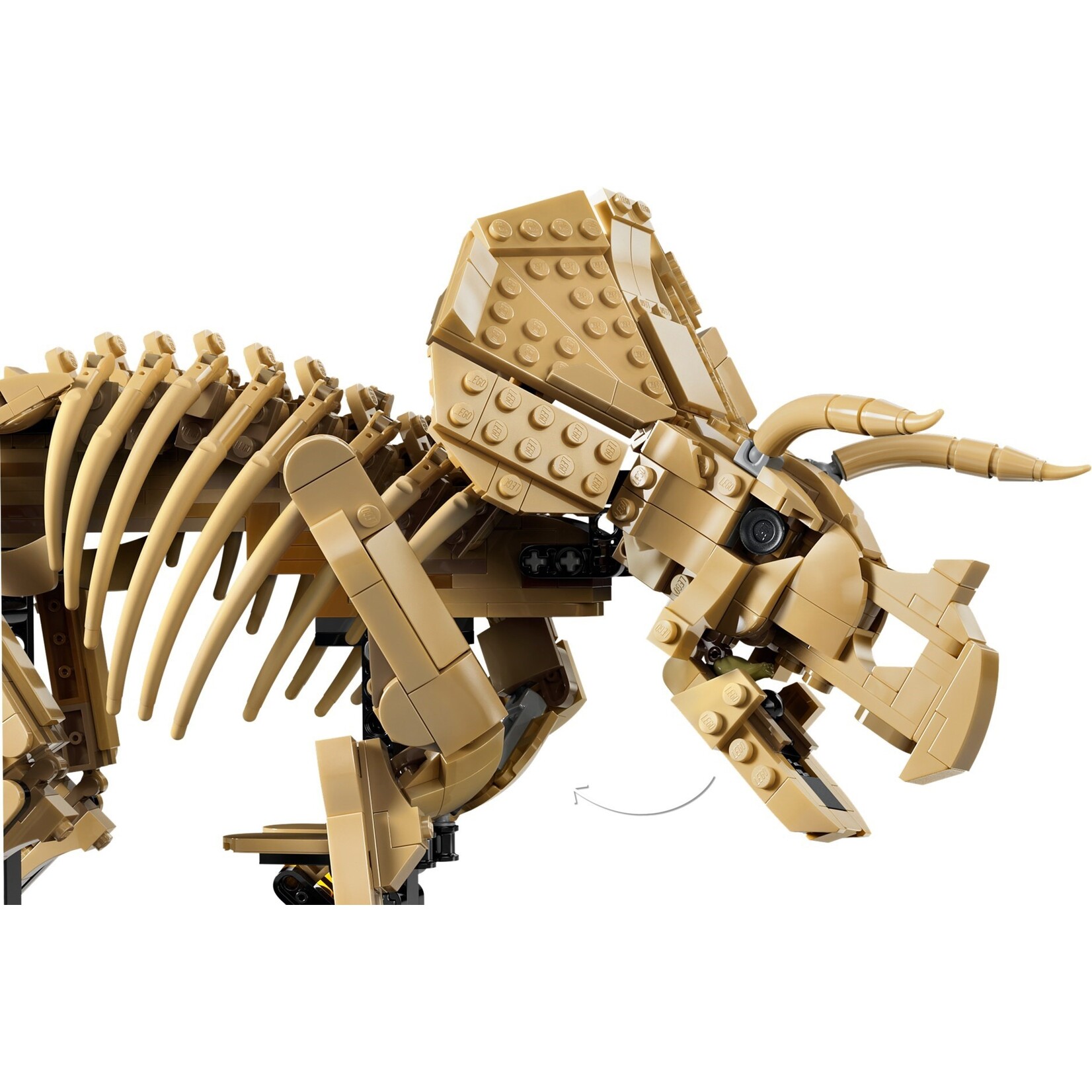 LEGO Dinosaurusfossielen: Triceratops - 77985