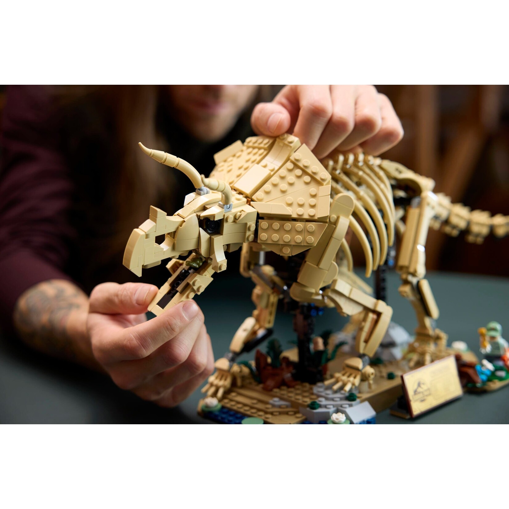 LEGO Dinosaurusfossielen: Triceratops - 77985