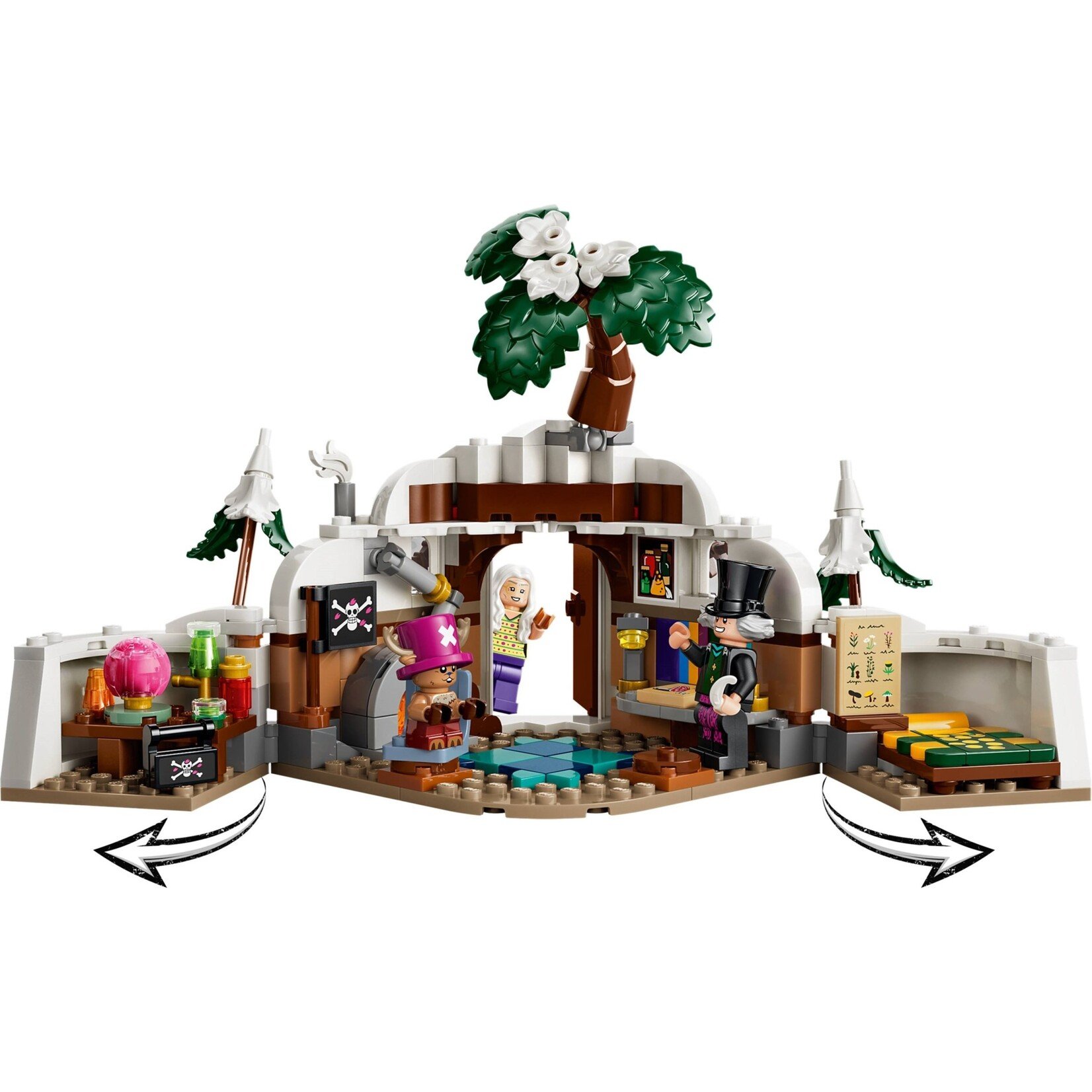 LEGO De schuilplaats van Dr. Hiriluk -75641