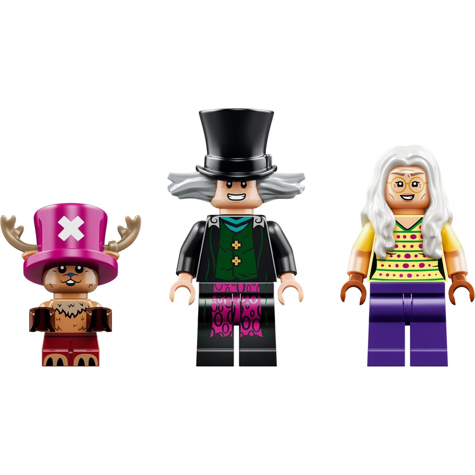 LEGO De schuilplaats van Dr. Hiriluk -75641