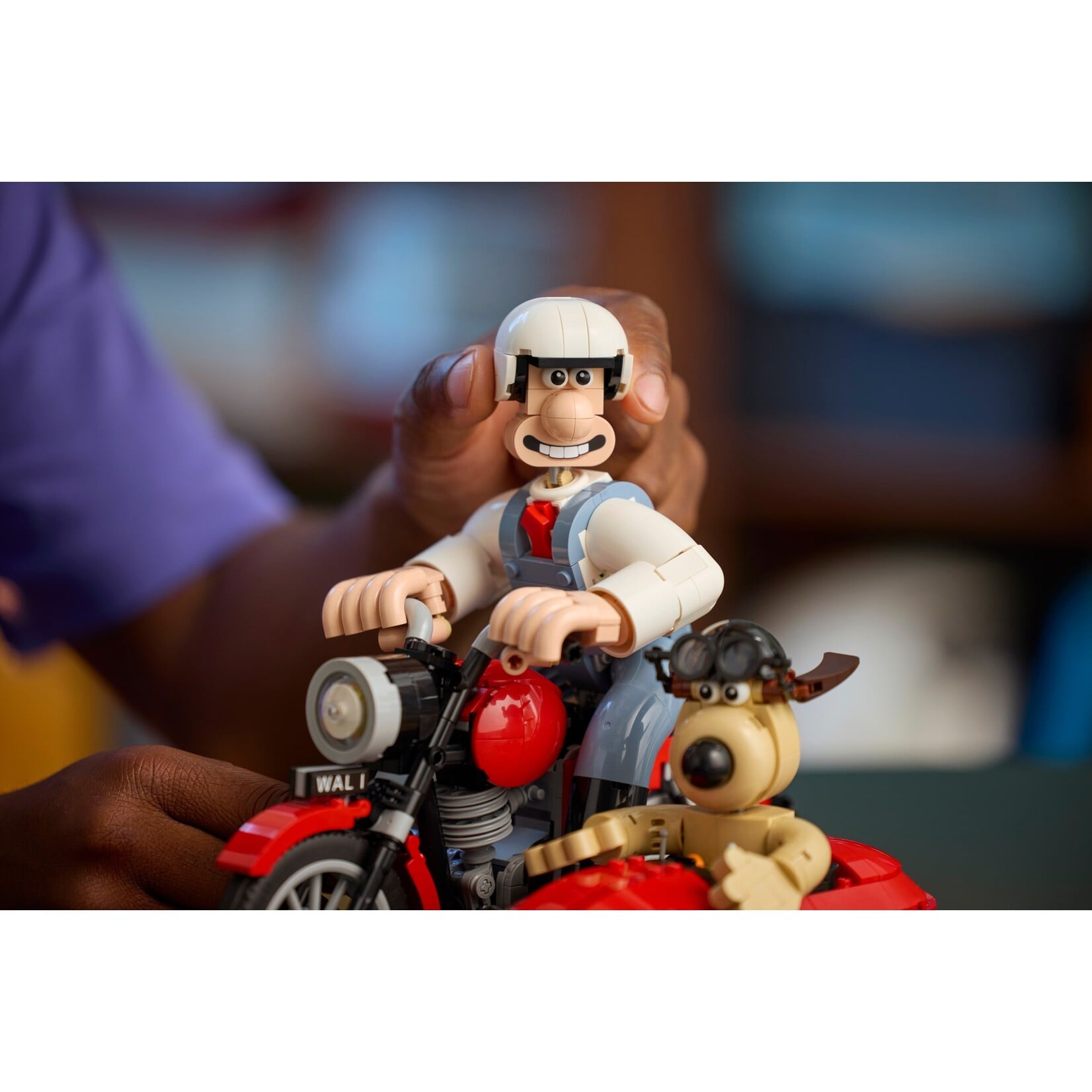 LEGO Wallace & Gromit - 21371