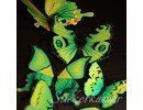 Muursticker kleurrijke 3D vlinders groen - 12 stuks