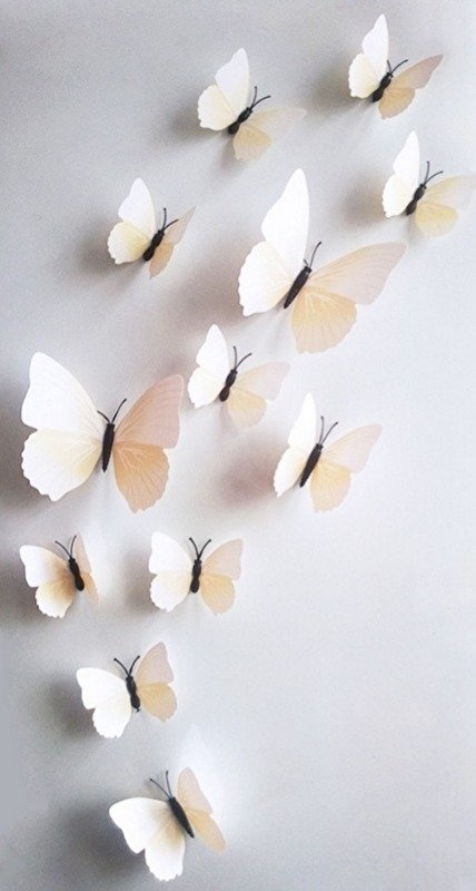 Kleurrijke 3D vlinders wit muurstickers