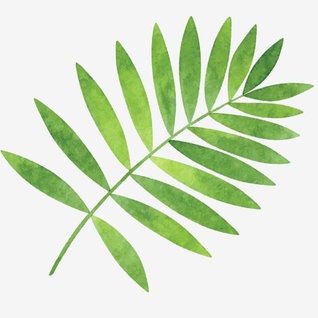 Muursticker blad groen interieur decoratie sticker