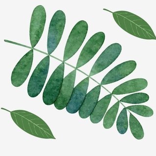 Muursticker blad groen lijsterbes interieurdecoratie sticker