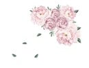 Muursticker pioenroos bloemen roze babykamer