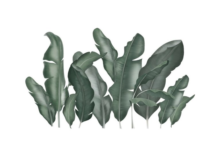 Muursticker bladeren bananenplant tropisch XL kinderkamer