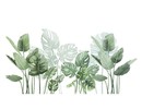 Muursticker tropisch decoratieve groene palmbladen stickers