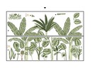 Muursticker bladeren tropisch decoratieve groene planten stickers