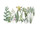 Muursticker bladeren decoratieve planten sierlijk groen