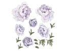 Muursticker pioen rozen / bloemen lila - paars