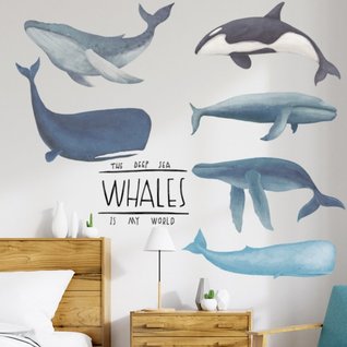Muursticker zeedieren walvissen - bultrug - orka - potvis kinderkamer Muursticker zeedieren walvissen - bultrug - orka - potvis kinderkamer
