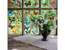 Stickerkamer Kleurrijke Vlinders statische raamstickers 24 stuks