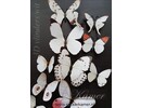 Muursticker kleurrijke 3D vlinders XXL - 9 Sets  - 108 vlinders