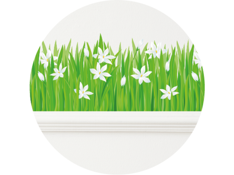 Muursticker gras strook witte bloemen