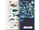Stickerkamer Glow in the dark onder water wereld - vissen set