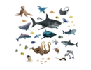 Stickerkamer Glow in the dark onder water wereld - vissen set