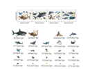 Stickerkamer Glow in the dark onder water wereld - vissen set