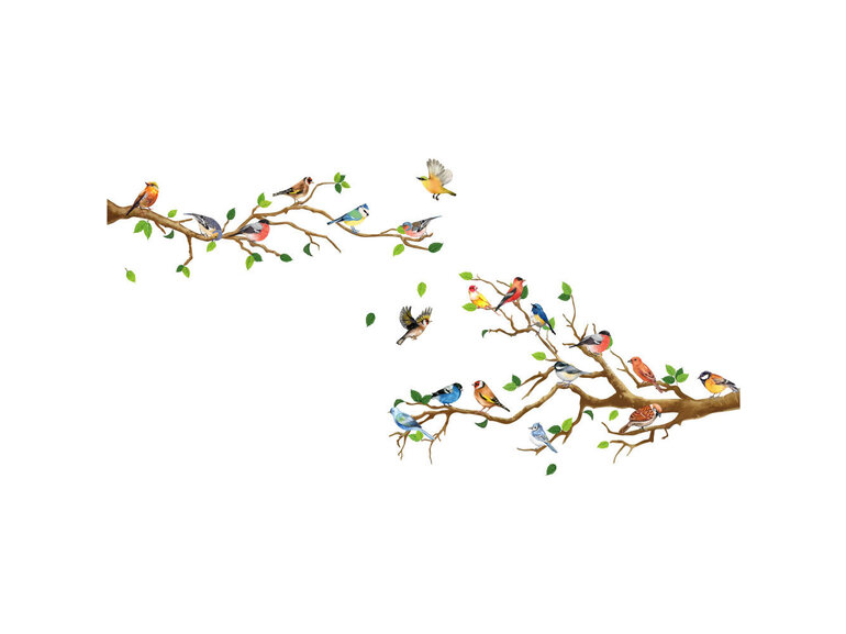 Muursticker Vogels op Takken – Zelfklevend & Verwijderbaar Muursticker Vogels op Takken – Zelfklevend & Verwijderbaar