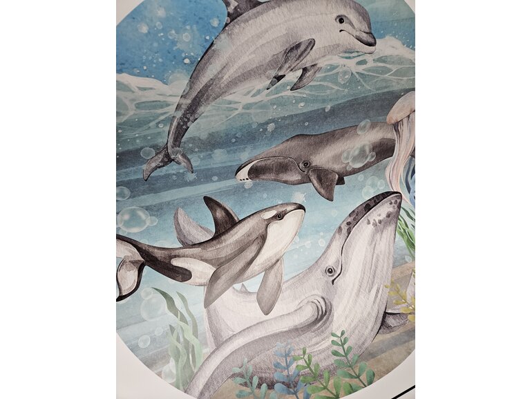 Muursticker muurcirkel oceaan kinderkamer walvis
