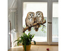 Raamsticker statisch uilen op tak - dubbelzijdig zichtbaar - herbruikbaar raamstickers Raamsticker statisch uilen op tak - dubbelzijdig zichtbaar - herbruikbaar raamstickers