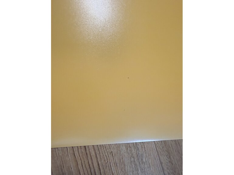 Laatste Kans: Muursticker Outlet