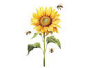 Muursticker zonnebloem groot met bijen zelfklevend 60x35cm
