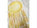 Aquarel Zon & Wolken Muursticker XL – 300 x 85 cm – Scandinavische Kinderkamer Stickerkamer Aquarel Zon & Wolken Muursticker XL – 300 x 85 cm – Scandinavische Kinderkamer