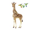 Giraffe 3 vogels Giraffe 3 vogels