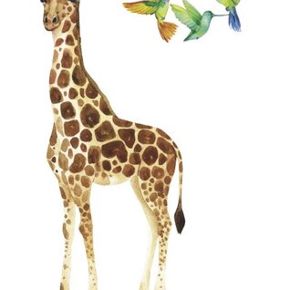 Giraffe 3 vogels Giraffe 3 vogels