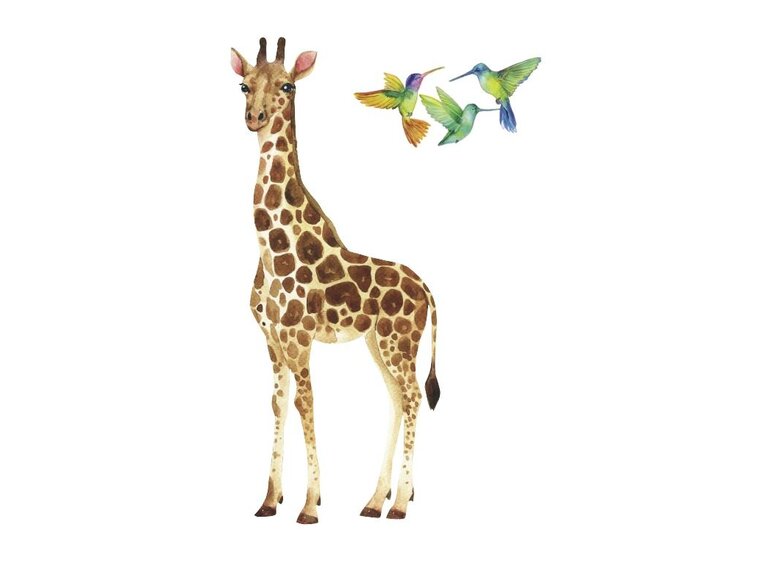 Giraffe 3 vogels Giraffe 3 vogels