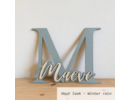 Stickerkamer Houten naambord kinderkamer op maat | beginletter met naam | kraamcadeau