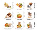 Statische herfst raamstickers complete set – 9 vellen met dieren, bladeren en pompoenen Statische herfst raamstickers complete set – 9 vellen met dieren, bladeren en pompoenen