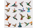 Statische raamstickers met kleurrijke vogels en kolibries – 19 vogels op 9 vellen Statische raamstickers met kleurrijke vogels en kolibries – 19 vogels op 9 vellen