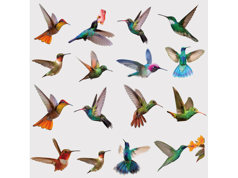 Statische raamstickers met kleurrijke vogels en kolibries – 19 vogels op 9 vellen Statische raamstickers met kleurrijke vogels en kolibries – 19 vogels op 9 vellen