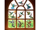 Statische raamstickers met kleurrijke vogels en kolibries – 19 vogels op 9 vellen Statische raamstickers met kleurrijke vogels en kolibries – 19 vogels op 9 vellen