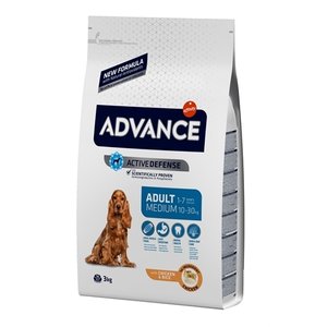 Advance Advance medium adult