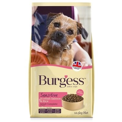 Burgess Burgess dog sensitive schotse zalm / rijst