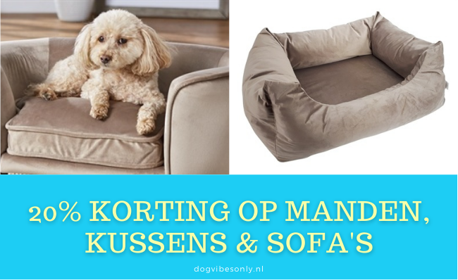 Bij DogVibesOnly de leukste online dierenwinkel en hondenspeciaalzaak vind je de leukste halsband van Nederland banner 3