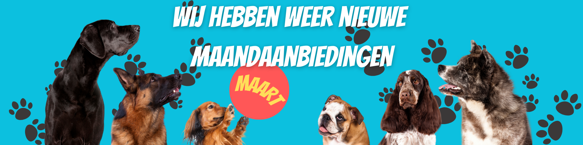 Bij DogVibesOnly de leukste online dierenwinkel en hondenspeciaalzaak vind je de leukste halsband van Nederland banner 3